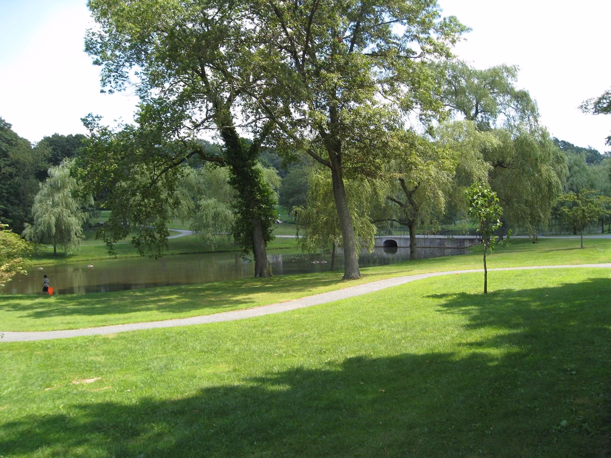 Open lawn and big shade trees in the lower part of Larz Anderson Park, with the lagoon's willows behind