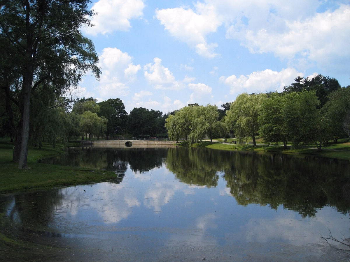 The lagoon at Larz Anderson Park reflecting clouds and the surrounding willows